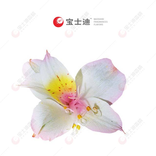 㾫